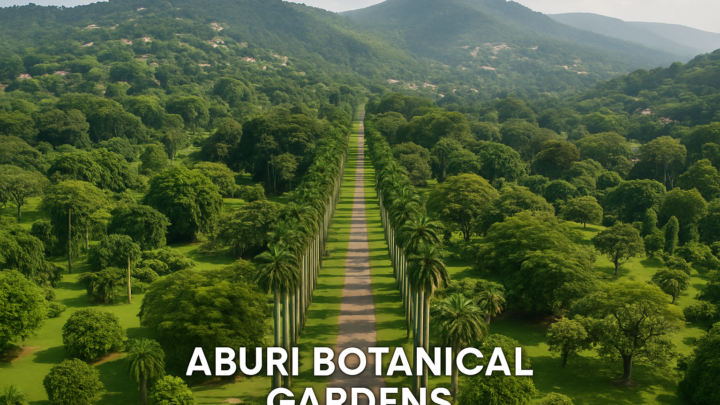 Aburi Botanical Gardens: A Practical Guide to Ghana’s Akuapem Hills