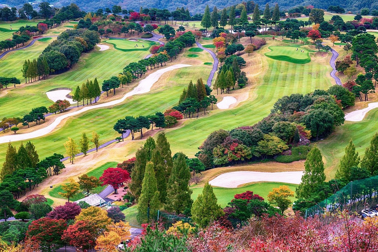 autumn, golf, golf course, sports, leisure, scenery, landscape, morning, green, golf club, autumn scenery, golf, golf, golf,