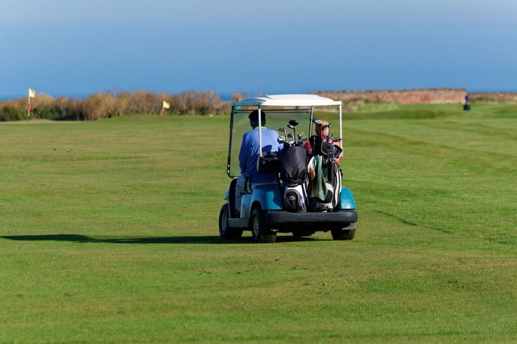 golf buggy, golfers, nature, buggy, men, man, people, golf, grass, green, leisure, sport, hobby, activity, sportsman, male, c