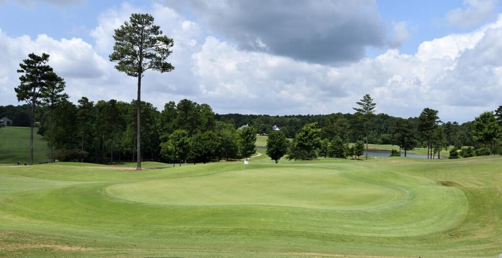 tree, grass, nature, landscape, panoramic, summer, golf, outdoors, sky, golf course, fairway, putting green, sport, recreatio