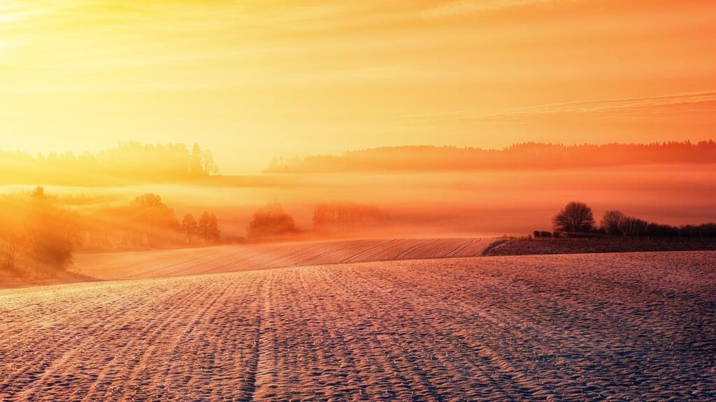snow, field, landscape, winter, nature, wintry, winter landscape, cold, snowy, orange, warm, sunset, dusk, embers, evening sk