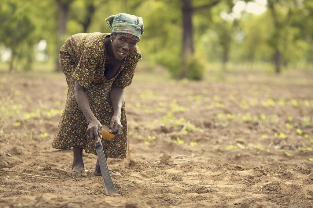 planting, farmer, ghana, brown farmer, ghana, ghana, ghana, ghana, ghana