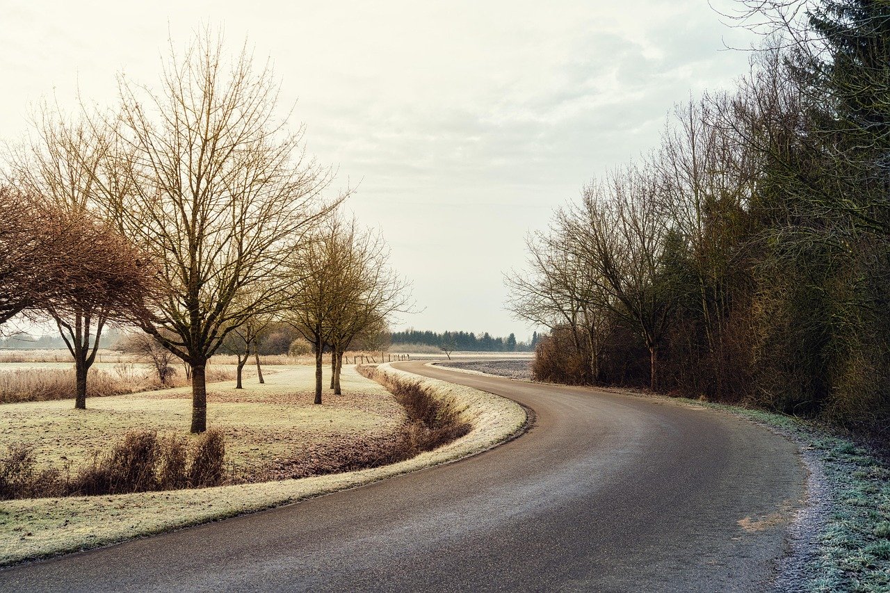 path, nature, road, street, trees, autumn, sky, twilight, fall, cold, landscape, autumncontest