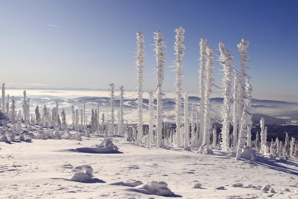 bavarian forest, three armchairs, snow landscape, winter panorama, winter magic, winter, winter landscape, winter, winter, wi