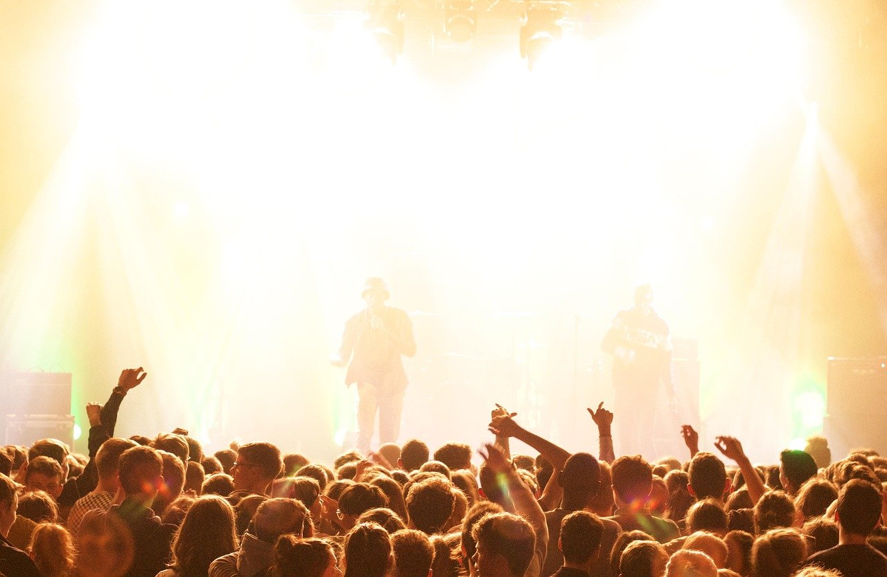 party, music, people, night, rap, concert, crowd, audience, club, nightlife, fun, celebration, festival, singer, stage, music