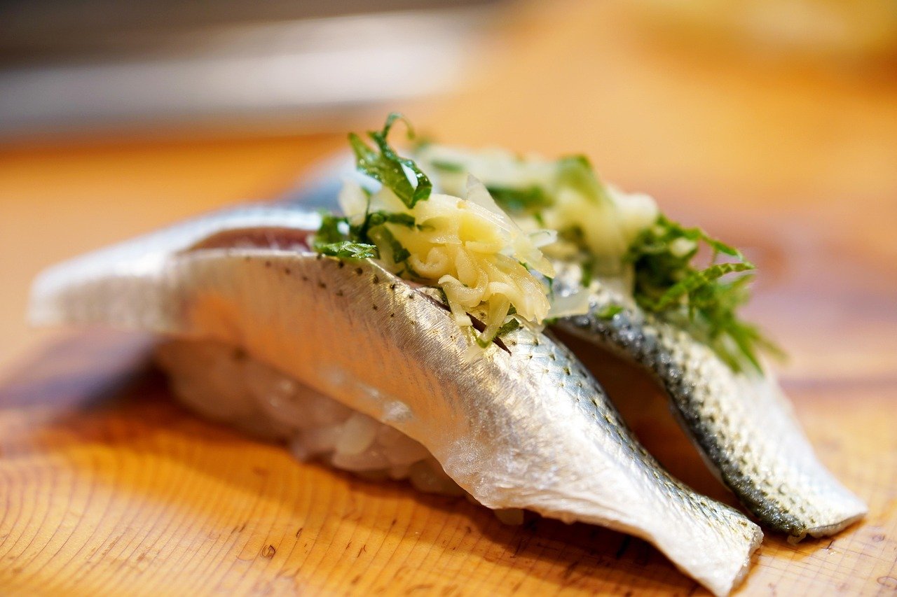 fish, blue fish, sushi, fresh, nature, diet, cooking, restaurant, japanese food, gourmand, food, aburi, japan, gizard shad, g
