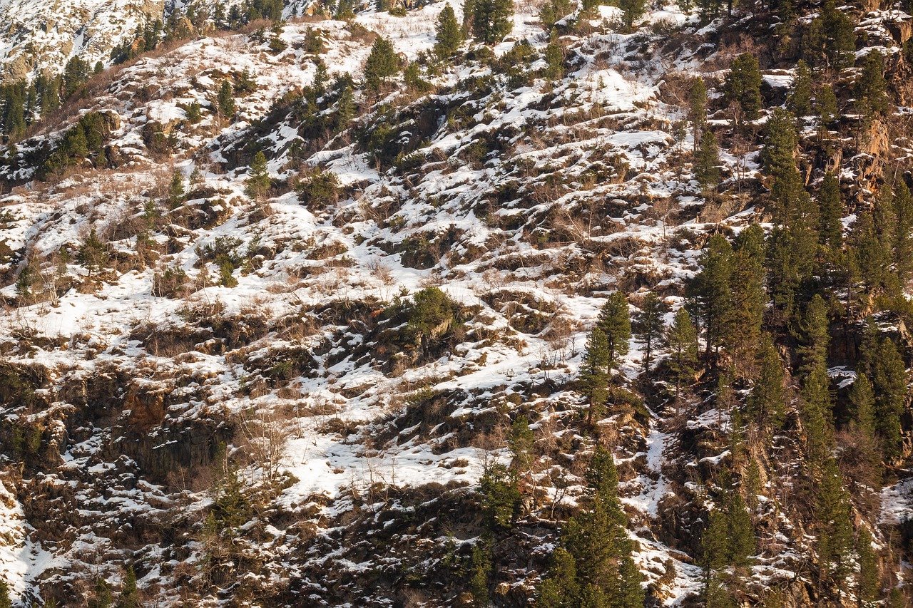 snow landscape, winter, trees, landscape, nature, winter landscape, mountains, rocky, landscape, landscape, landscape, landsc