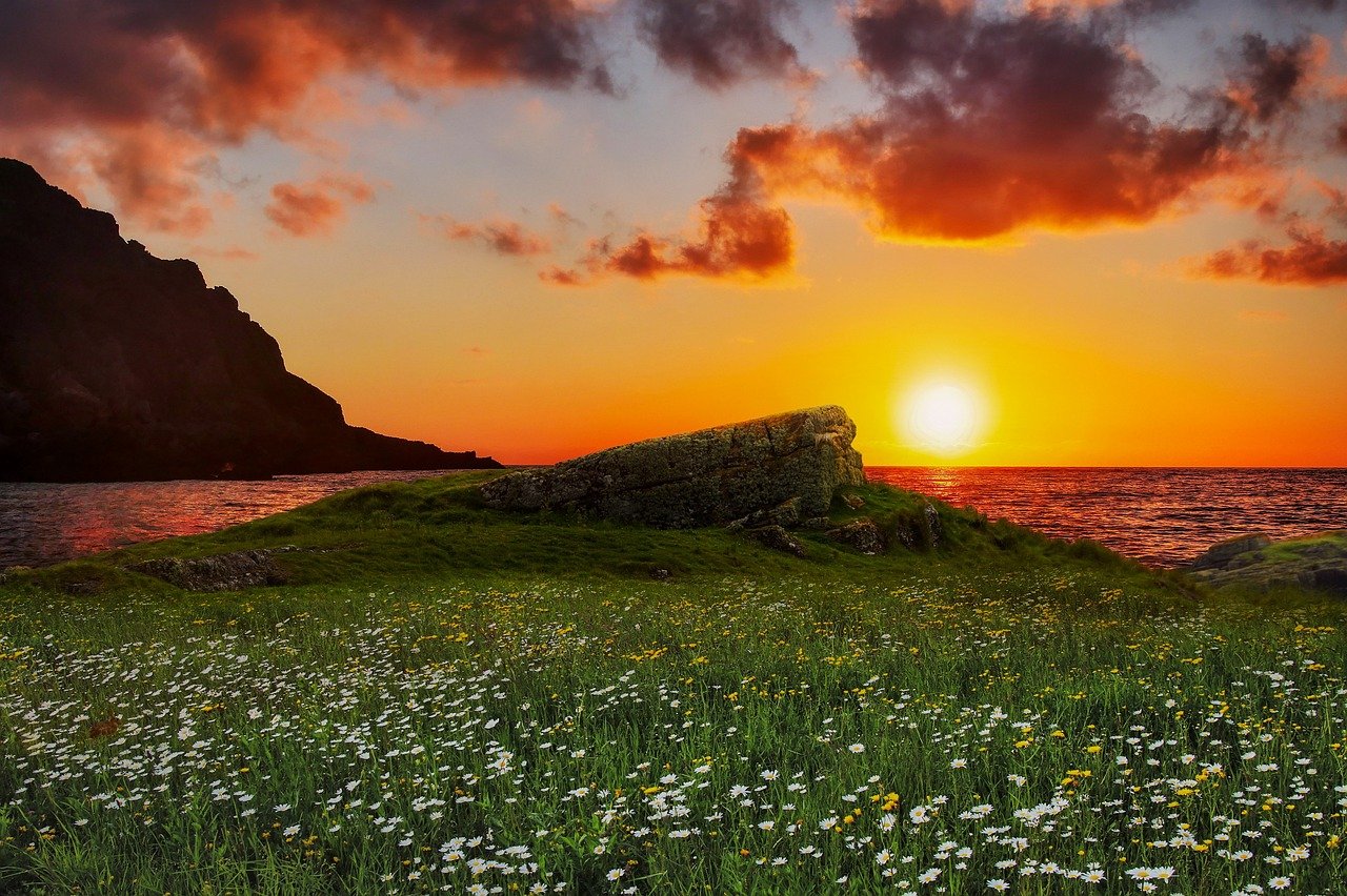 meadow, grass, flowers, fantasy, flower background, seascape, landscape, flower wallpaper, coastline, field, ocean, clouds, r