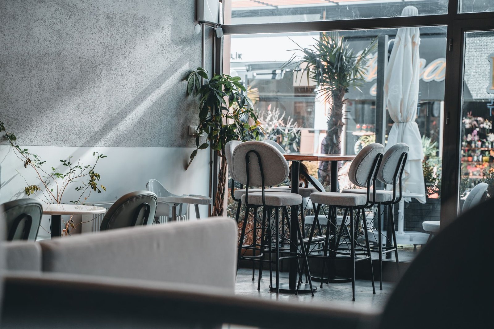 Inviting café interior featuring modern design, natural light, and stylish seating arrangement.