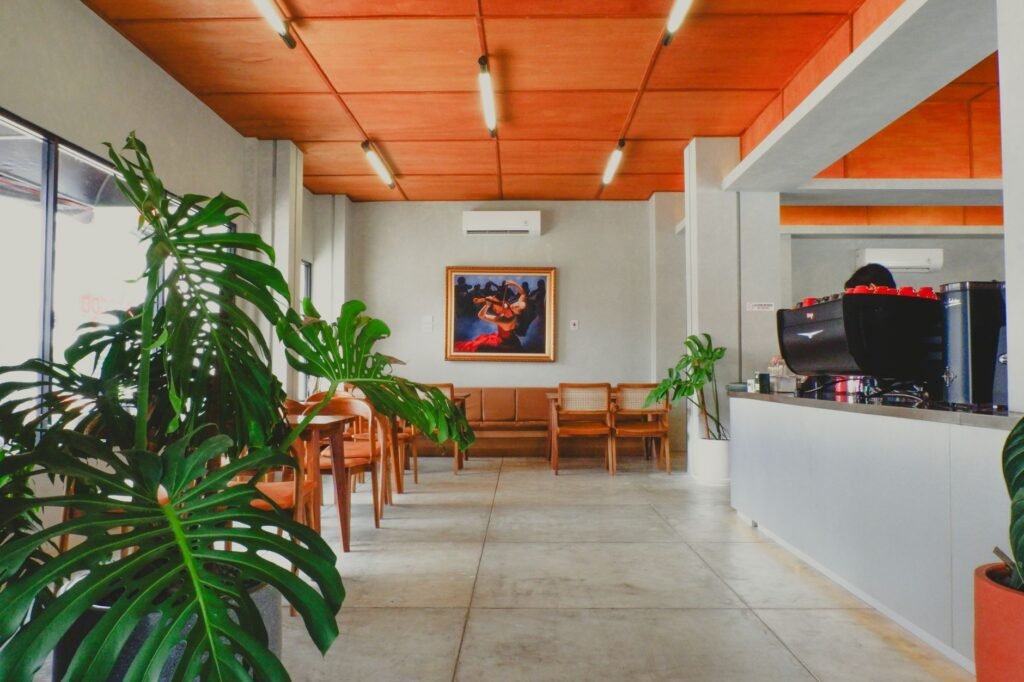 Stylish cafe setting with modern decor and lush monstera plants.