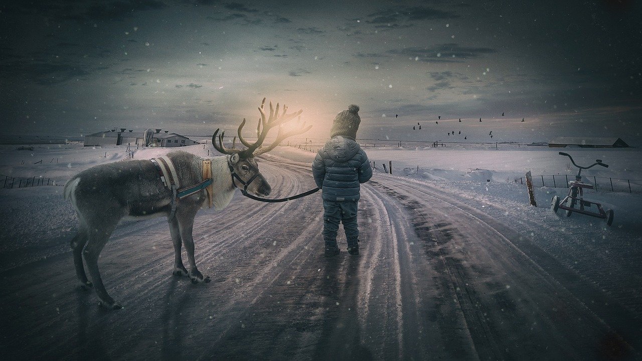 winter landscape, reindeer, boy, fairytale, small child, landscape, moose, snow, nature, evening atmosphere, sunset, composin
