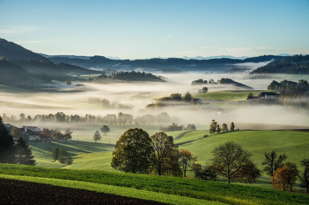mühlviertel, rural, fog, austria, upper austria, vacation, fall, landscape, nature, meadow, waxenberg, foggy, cultural landsc