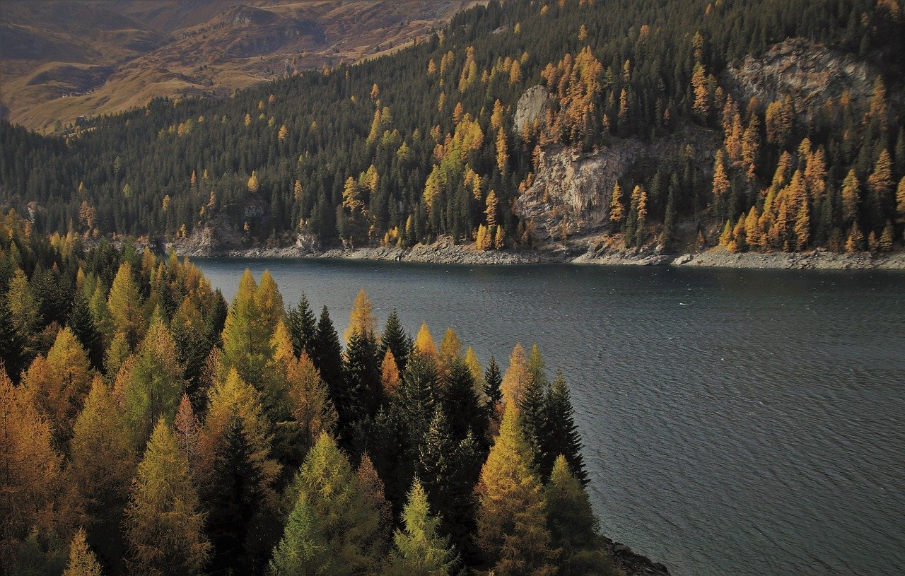 twilight, lake, alpine, mountains, water surface, forest, nature, alp, mood, panorama, look, afternoon, landscape, scenery, d