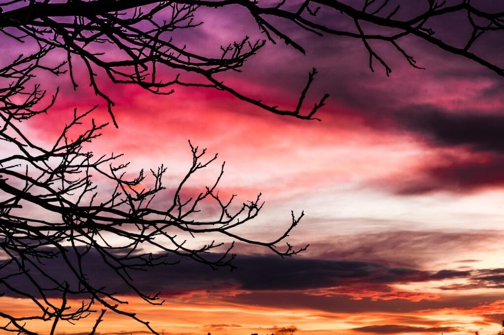 clouds, sky, nature, east, morning, amazing, view, beautifulview, scenery, landscape