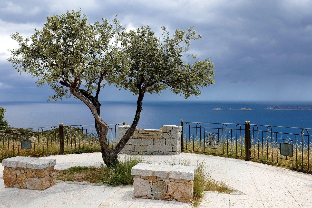 sardinia, south east coast, viewpoint, nature, tree, railing, view to the sea, heaven