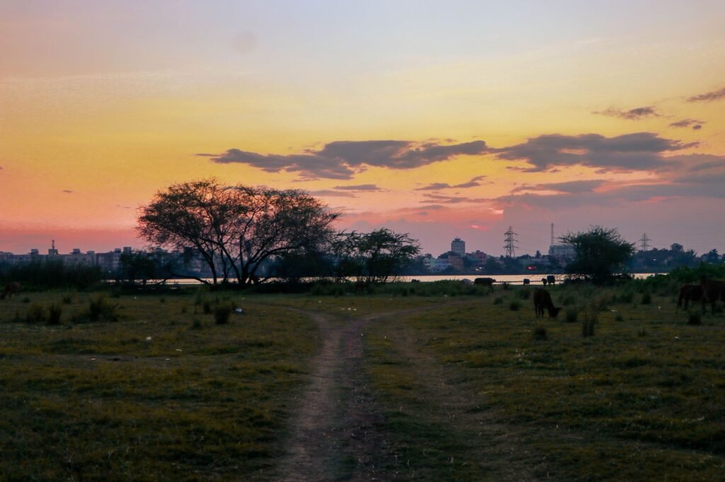A person walking alone along a quiet road at dusk in northern Ghana