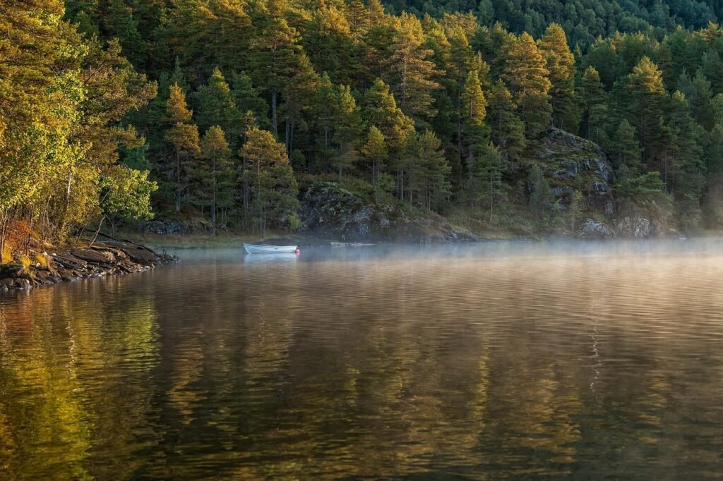 boat, lake, trees, forest, fall, nature, landscape, forest, forest, forest, forest, forest