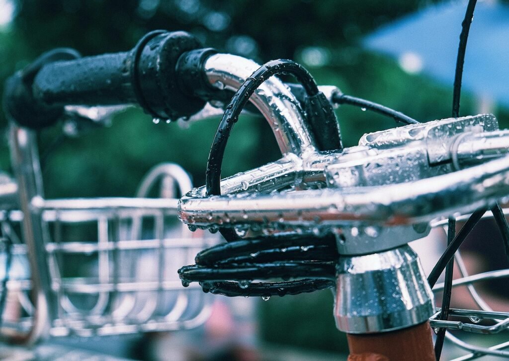 bicycle, nature, rain, street shot, urban scene