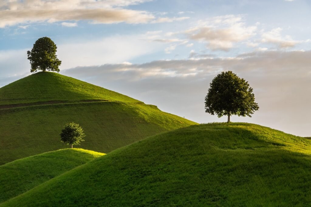 hill, tree, drumlin, nature, landscape