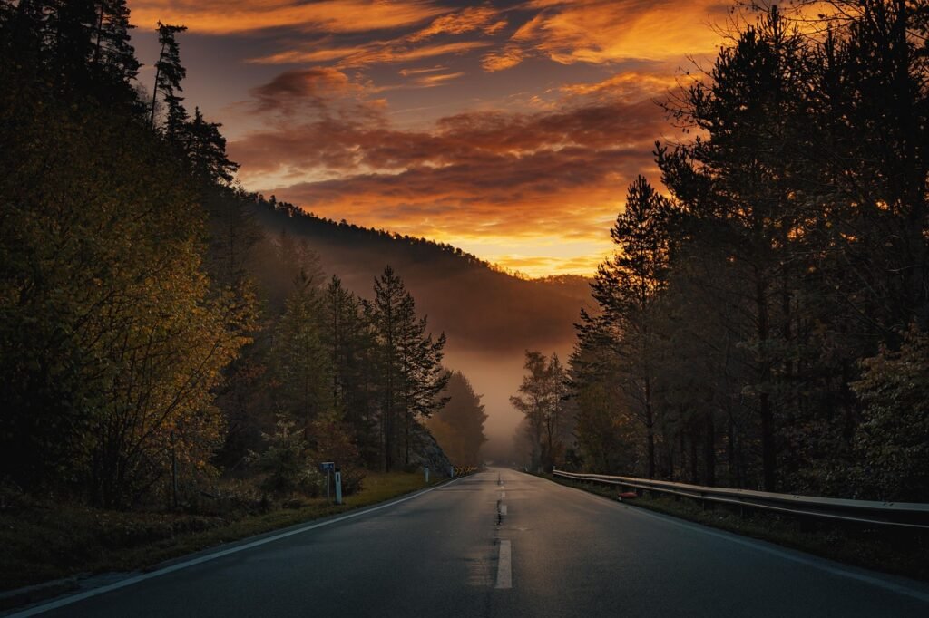 road, street, forest, dawn, sunset, sun, fall, autumn, landscape, nature, fog, trees, sky, clouds, road, road, road, road, ro