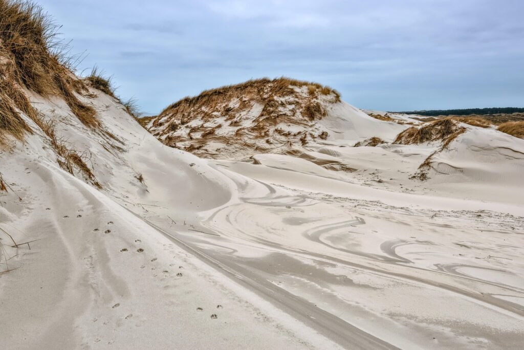 sand dunes, dune landscape, sand, formations, north sea, amrum, landscape, coastal protection, natural reserve, sand dunes, s