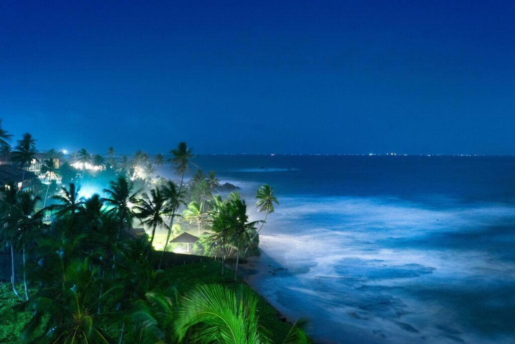 Scenic nighttime view of a tropical beach with palm trees and ocean waves under a clear sky.