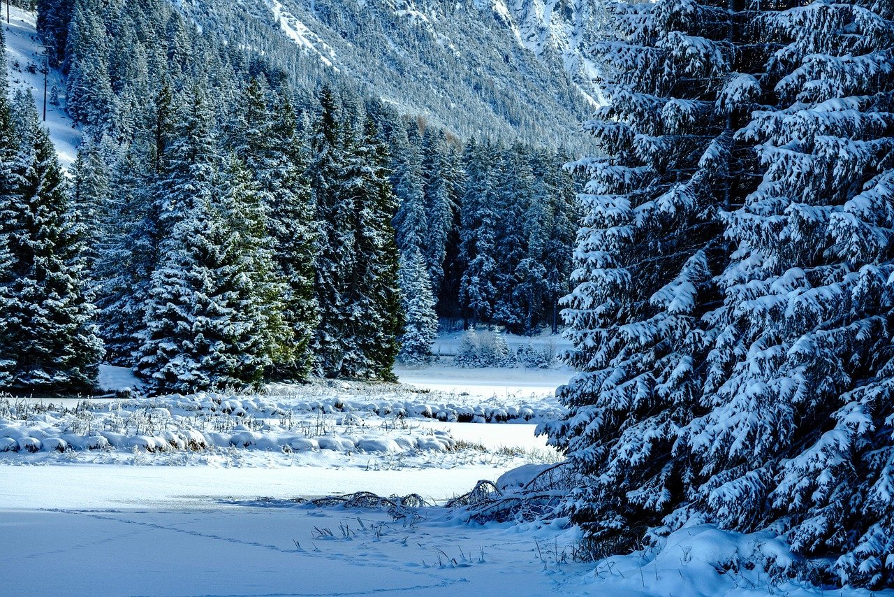 winter, snow, mountains, winter landscape, snow landscape, covered in snow, ice cream, frozen, nature, winter, winter, winter
