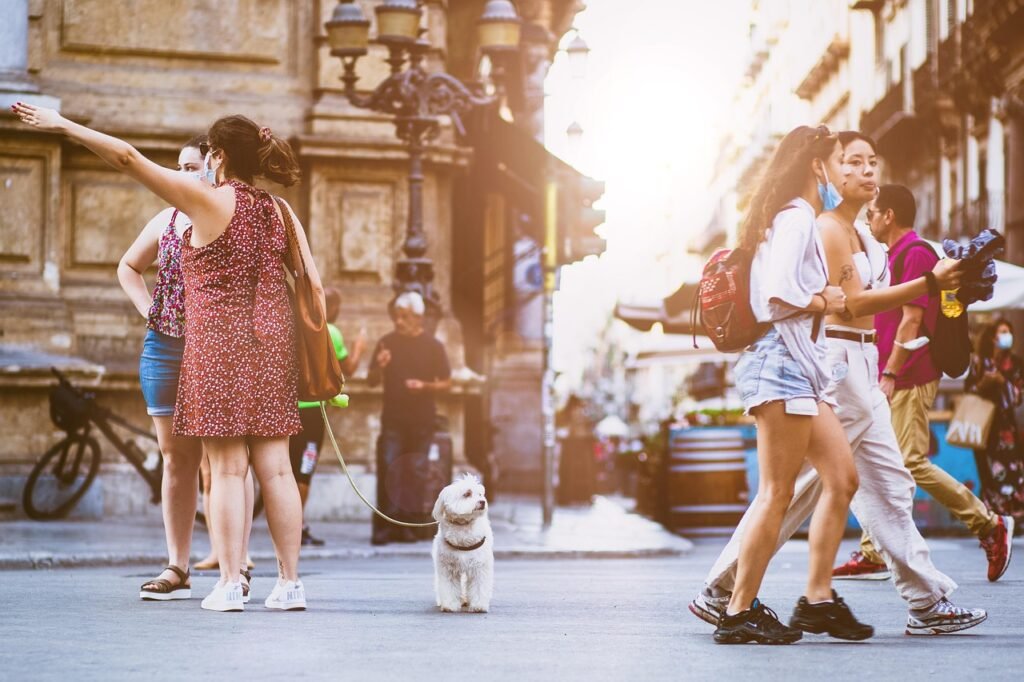 people, street, city, animal, walking, urban, crowd, road, busy, lifestyle, friends, pet, dog, doggy, canine, summer, cute, t