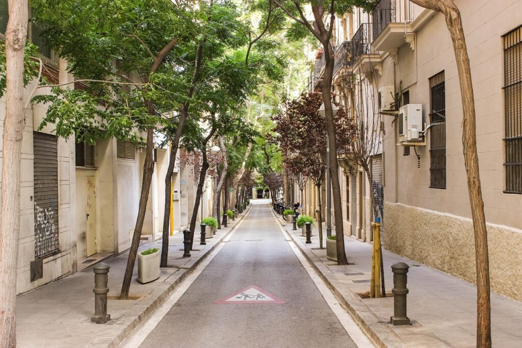 street, street view, barcelona, spain, travel, urban, nature, architecture, trees, city, perspective, brown city, brown trave