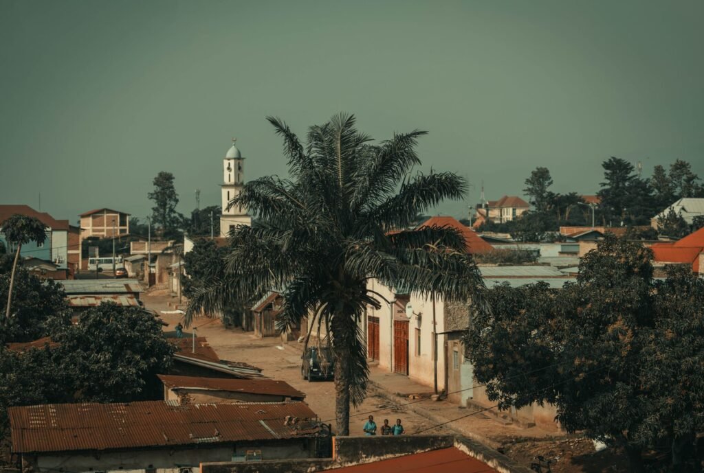 Street view of Bujumbura with a prominent palm tree and distant architectural structures.