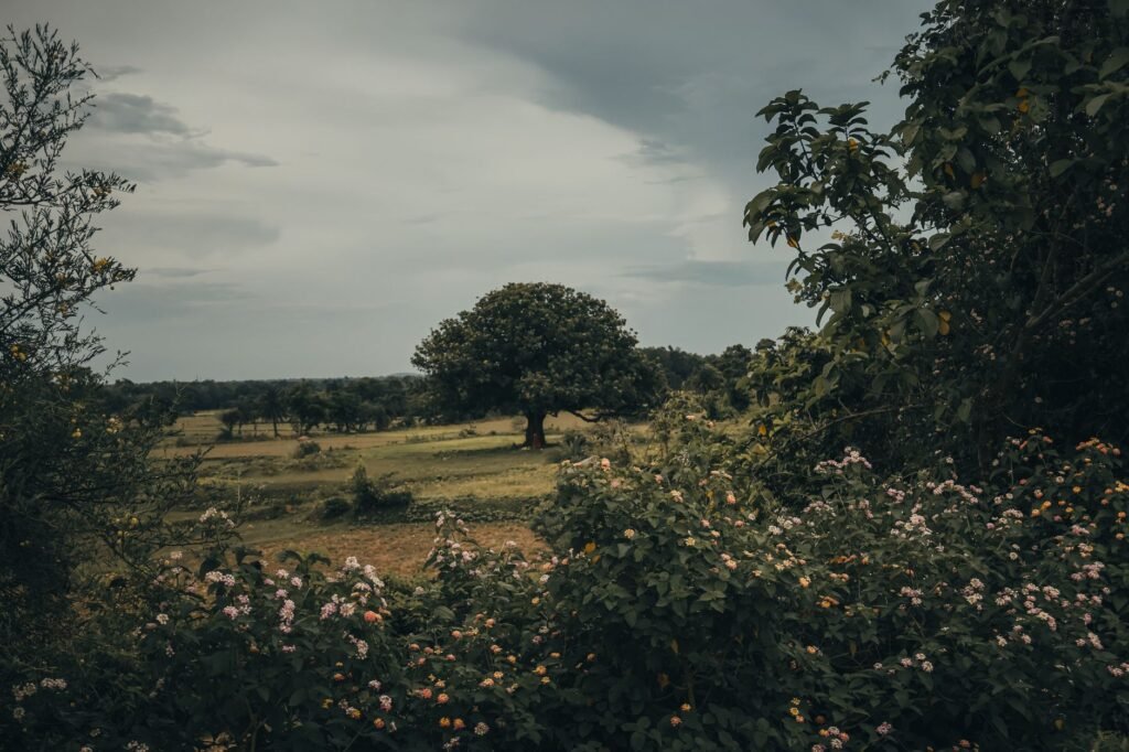 A picturesque rural landscape featuring a lone tree amidst lush greenery and colorful wildflowers under a cloudy sky.