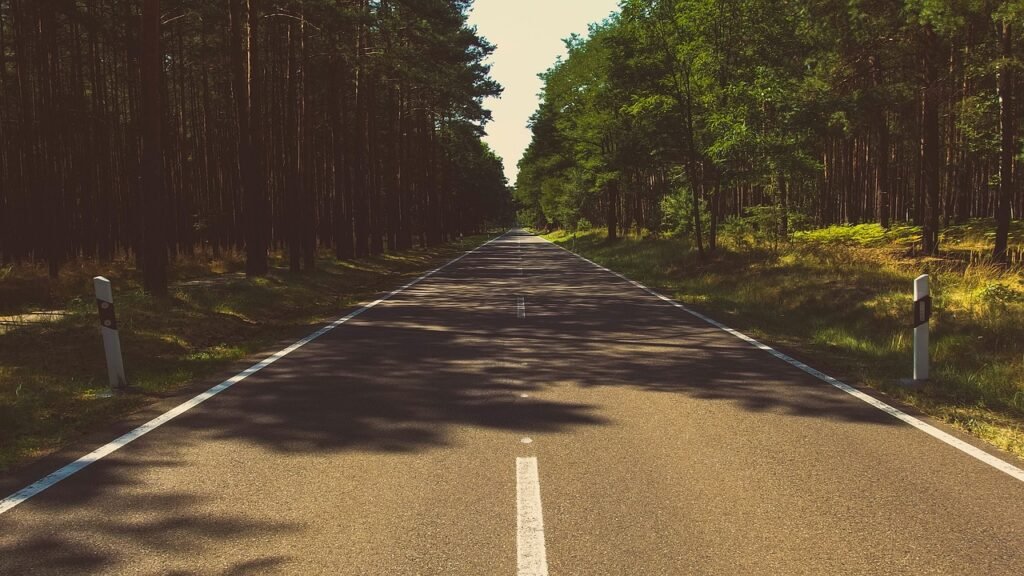 forest, nature, road, travel, trees, avenue, street, woods, woodlands, perspective, rural, countryside, road, road, street, s