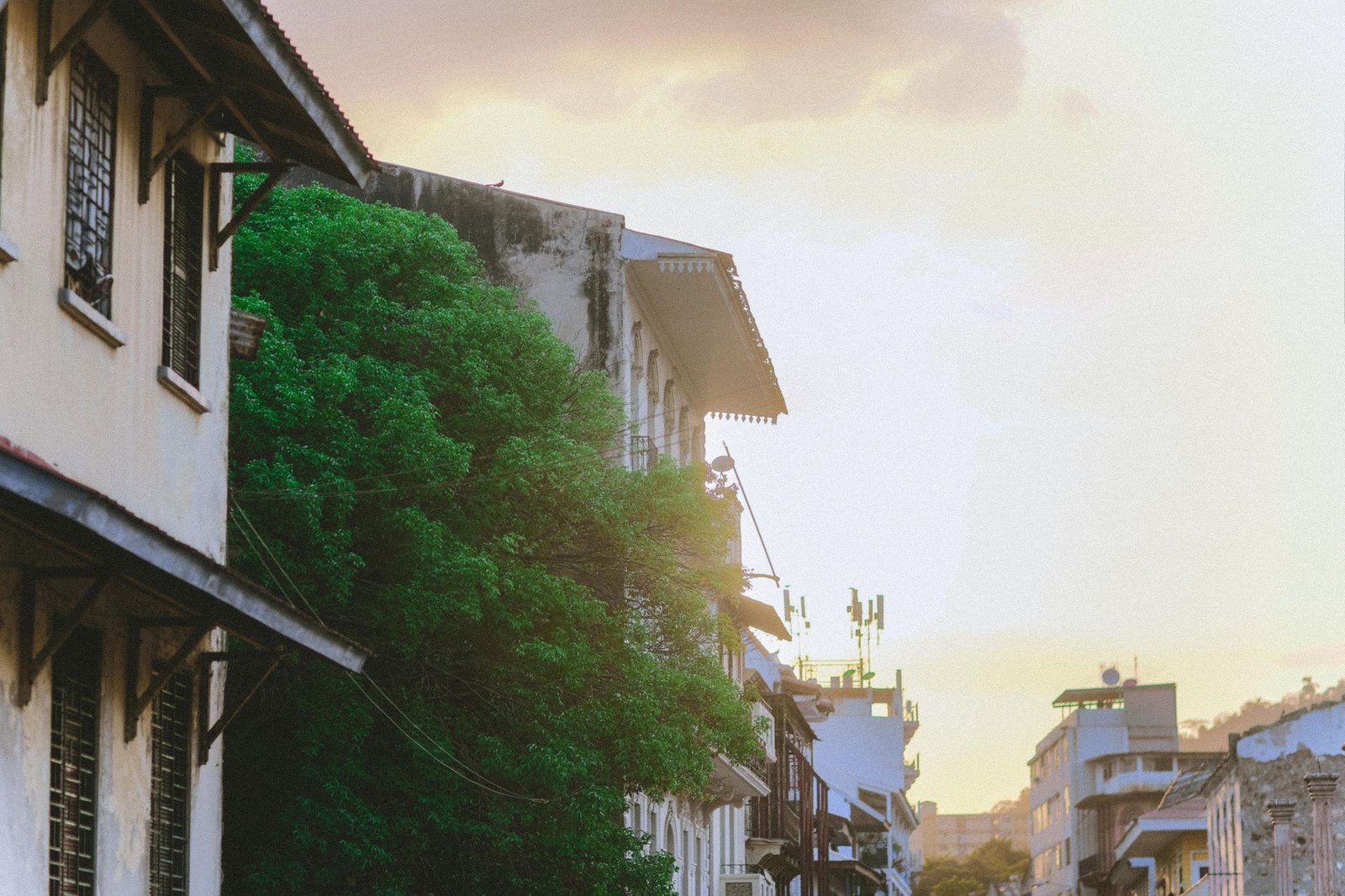 Quiet residential street in Ashaley Botwe, Greater Accra, in late afternoon light