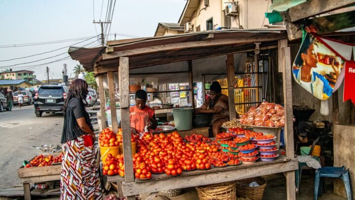 A Beginner’s Guide to Exploring Life and Local Culture in Mampong