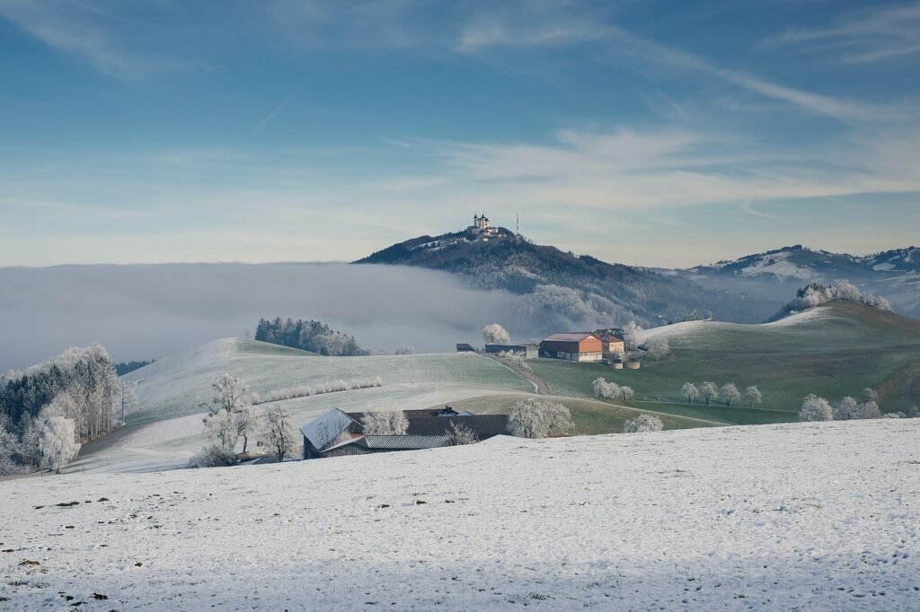 nature, landscape, fall, autumn colors, autumn landscape, snow, hoarfrost, fog, fog field, snow, snow, snow, snow, snow