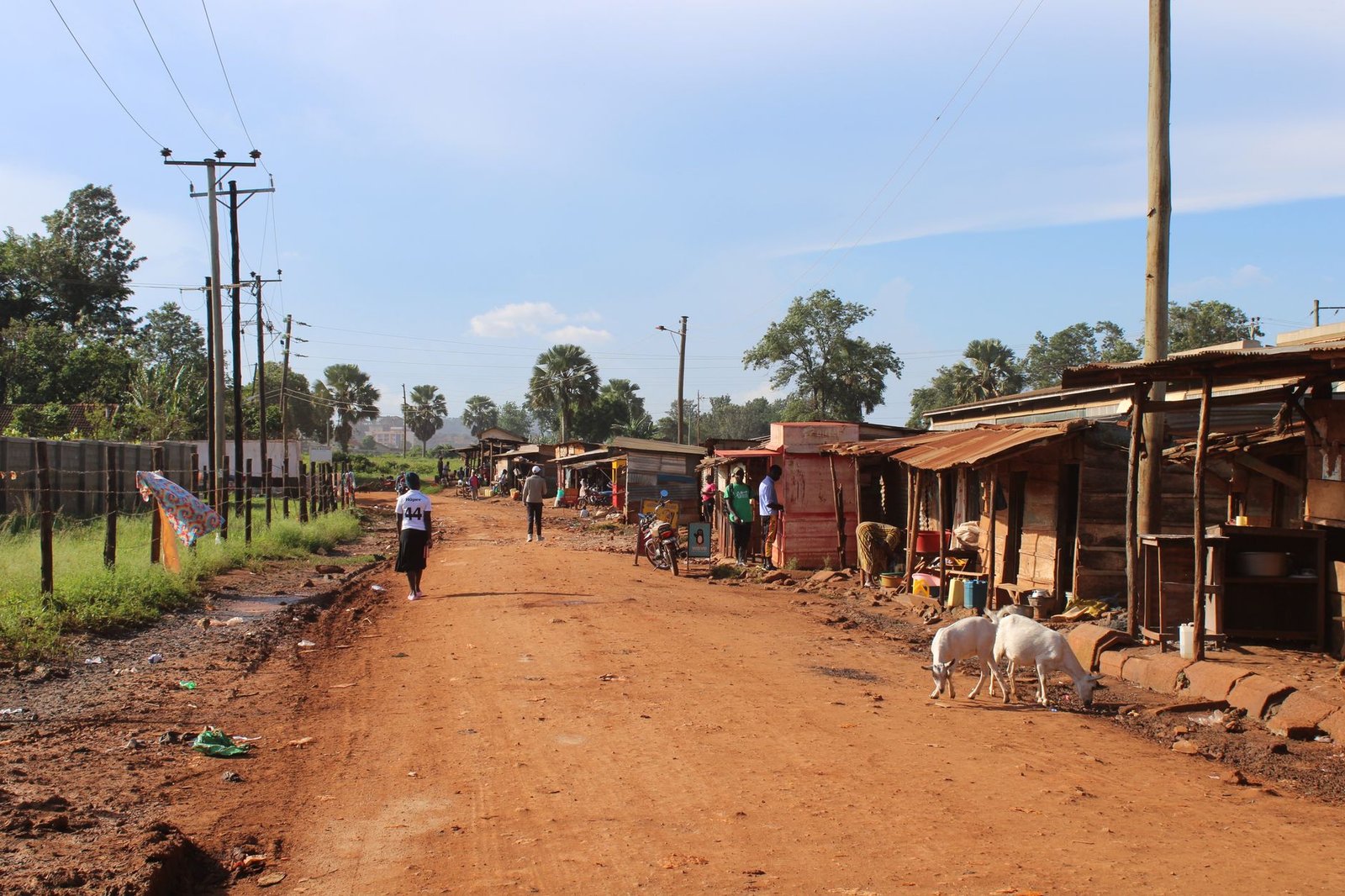 A lively scene of a traditional market street in Jinja, Uganda, with people and goats.