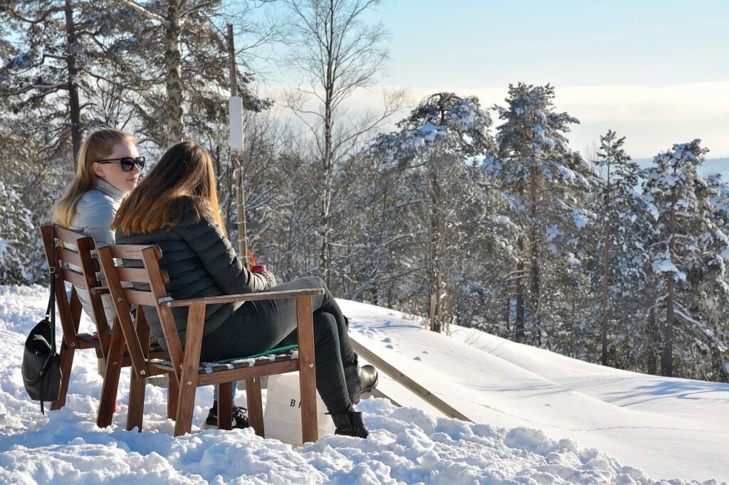 snow, winter, cold, nature, landscape, outdoors, friends, relaxation, pleasure, social, cafe