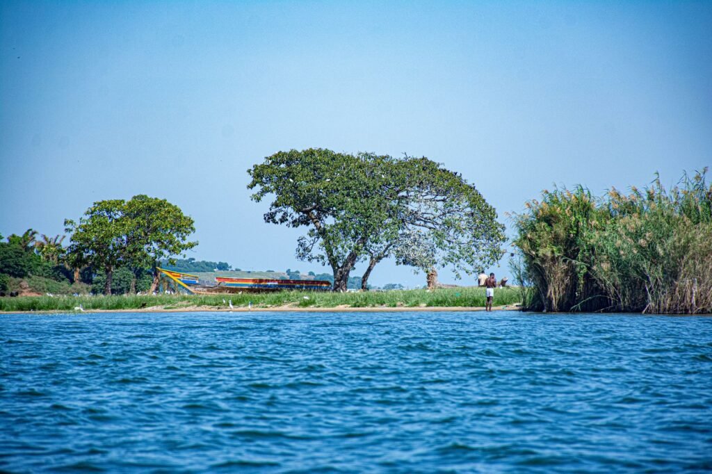 Peaceful riverside scene with trees and people enjoying nature on a sunny day.