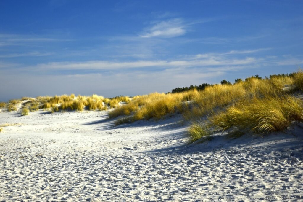 dunes, dune landscape, beach, sand beach, coastal, baltic sea coast, nature, landscape, beach, beach, beach, beach, beach, co