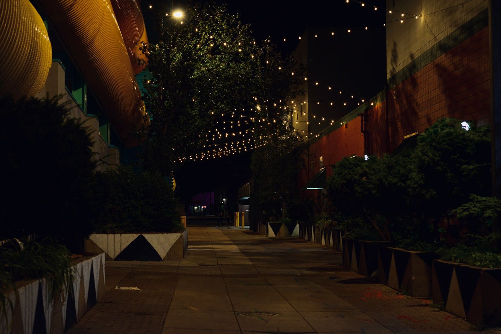 Charming street view at night in East Lansing, Michigan, with glowing string lights.