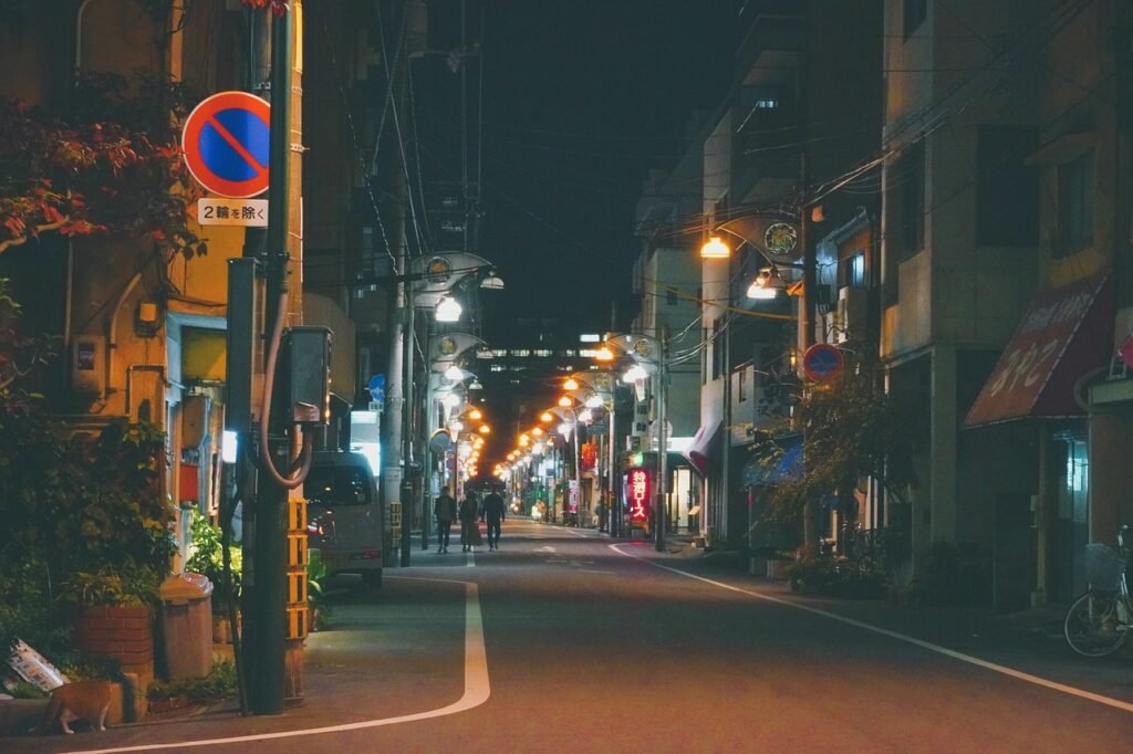city, street, japan, night life, japan, night life, night life, night life, night life, night life