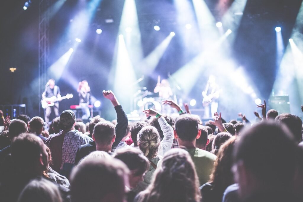 audience, band, celebration, concert, crowd, festival, lights, music, musician, nightlife, party, people, performance, singer