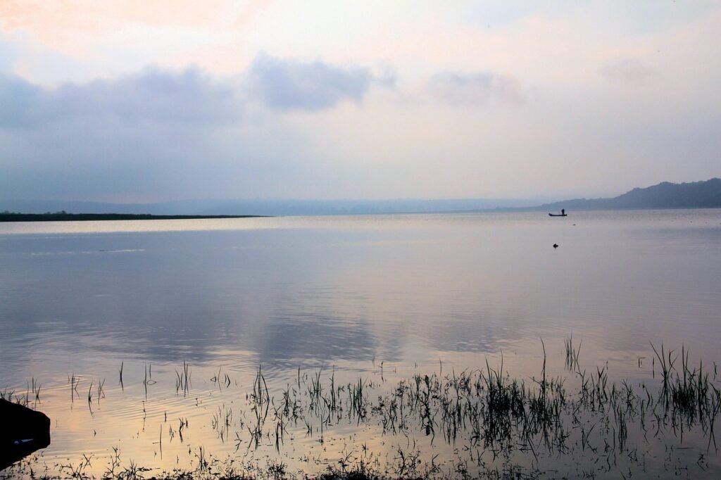 sunrise, in dam, nature, calderon, jalisco
