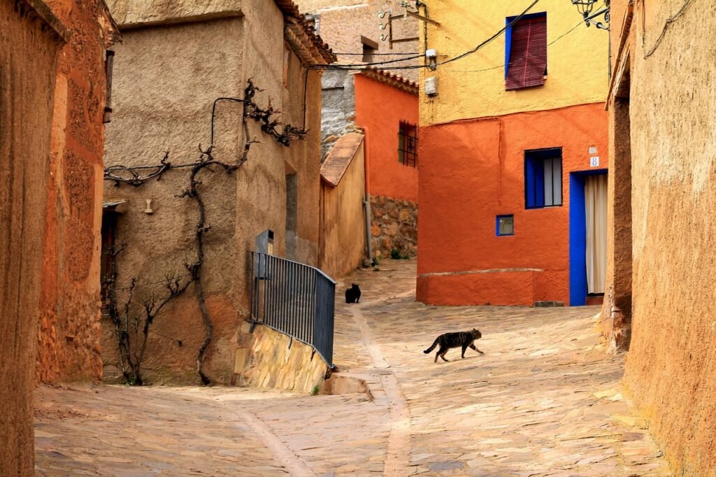 street, cat, pet, rural, architecture, city, housing, houses, old, facade, window, townhouse, home, apartment, community, sto