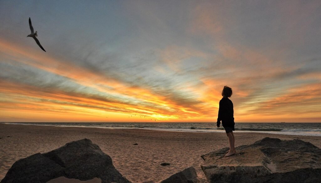 boy, sunset, sky, bird, ocean, landscape, nature, beach, sea, clouds, evening, dusk, water, mood, atmosphere, boy, boy, boy,