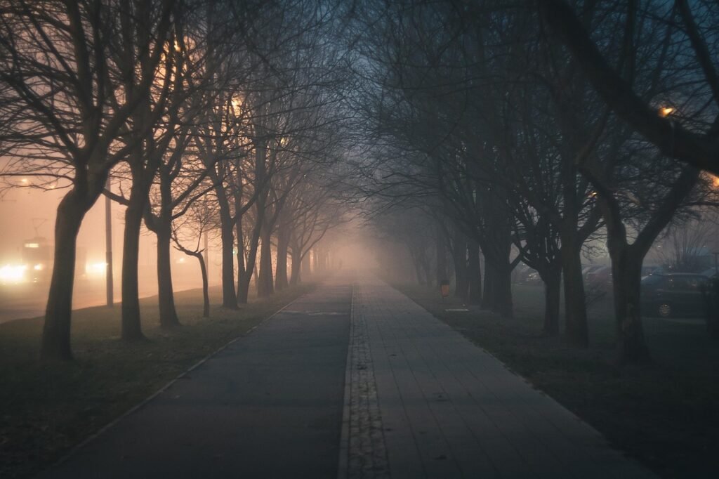 city, walkway, trees, sidewalk, avenue, nature, street, fog, haze, pavement, cycling road, landscape, park, lights, evening,