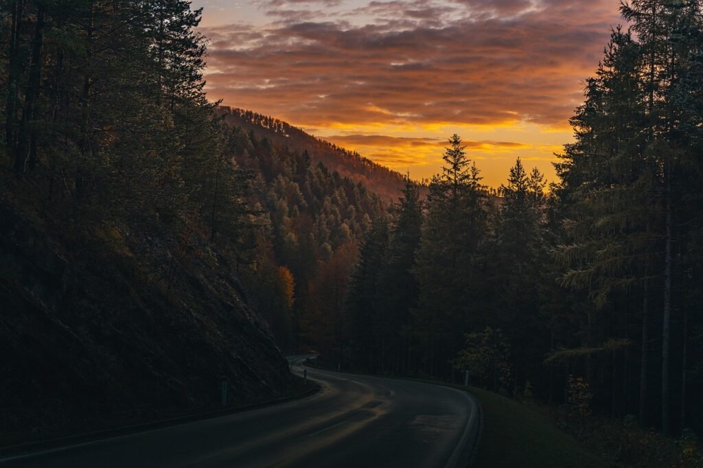 road, street, forest, dawn, sunset, sun, fall, autumn, landscape, nature, fog, trees, sky, clouds, road, forest, forest, natu