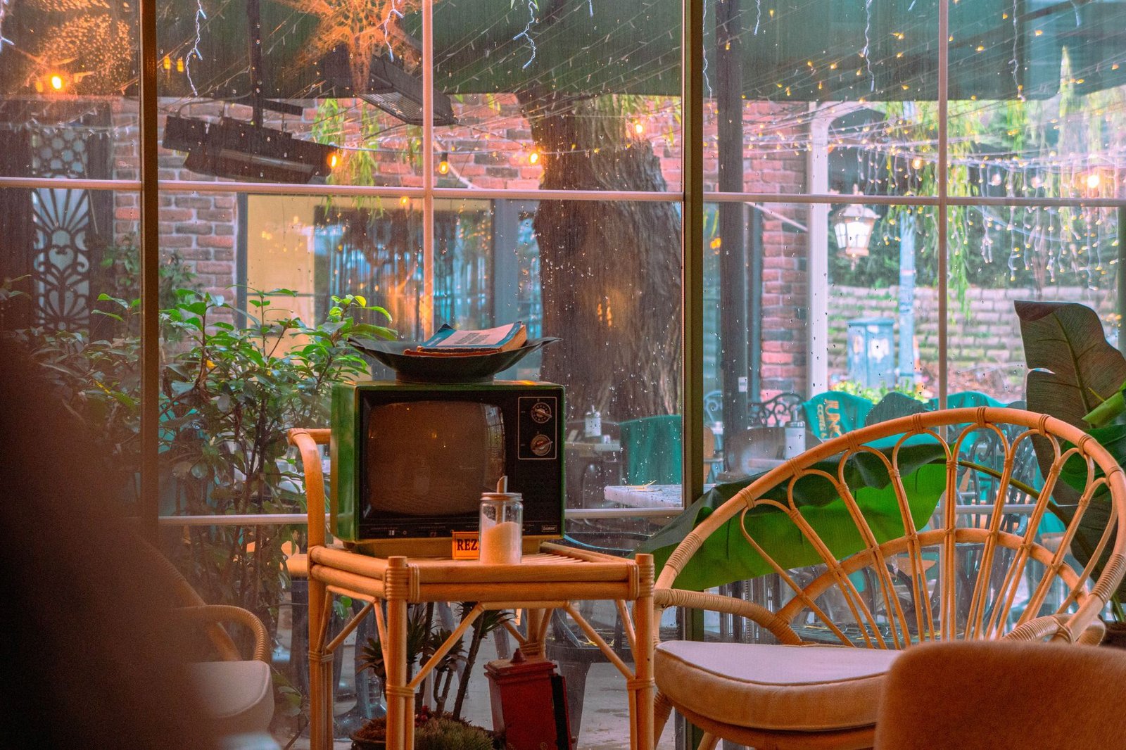 Warm and inviting café setting adorned with vintage décor, lush greenery, and cozy seating on a rainy day.