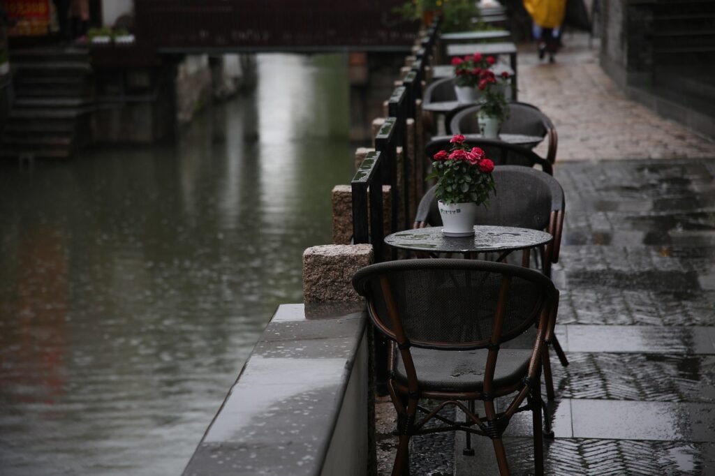 rain, street, tables, cafe, flower background, flowers, beautiful flowers, empty, nature, channel, flower wallpaper, rainy da