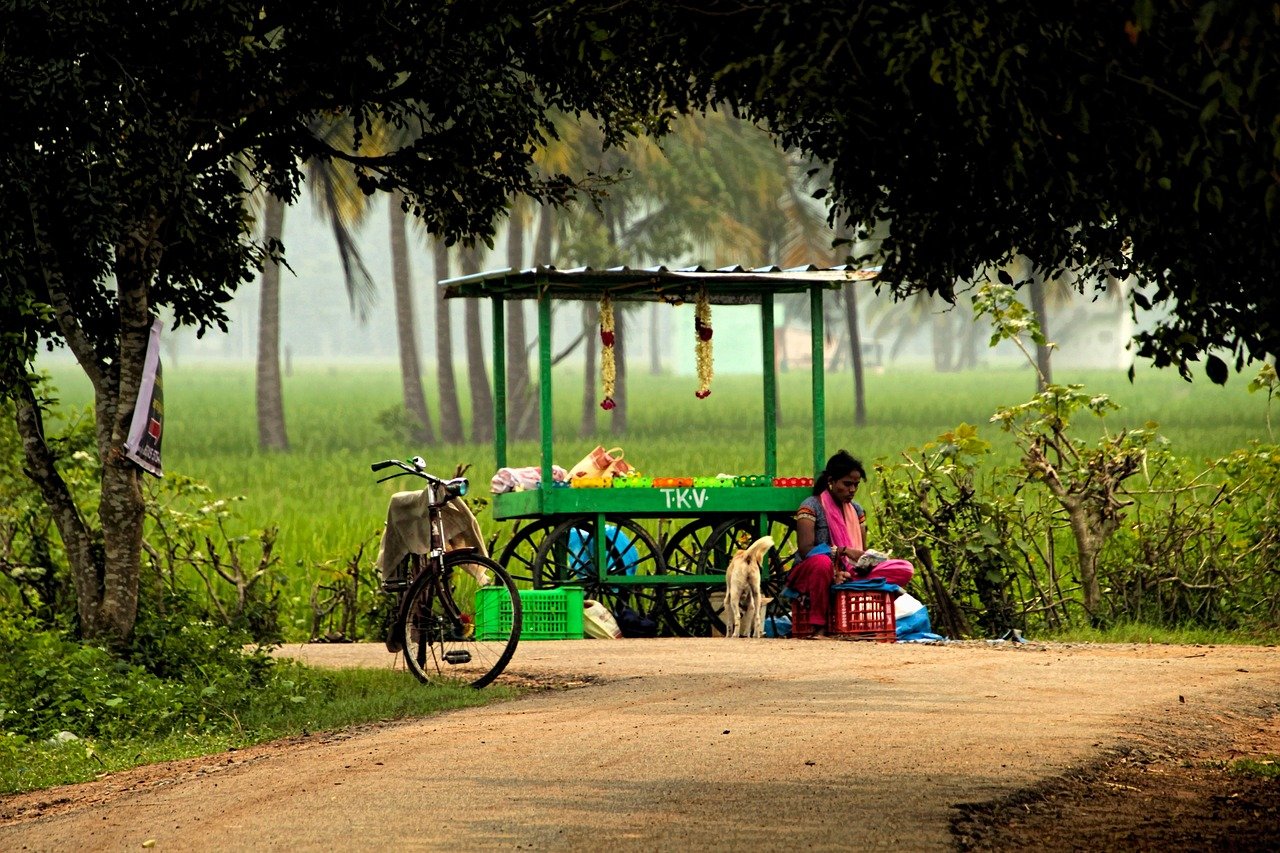 street photography, village, small shop, street, photography, cycle, nature, street photography, street photography, street p